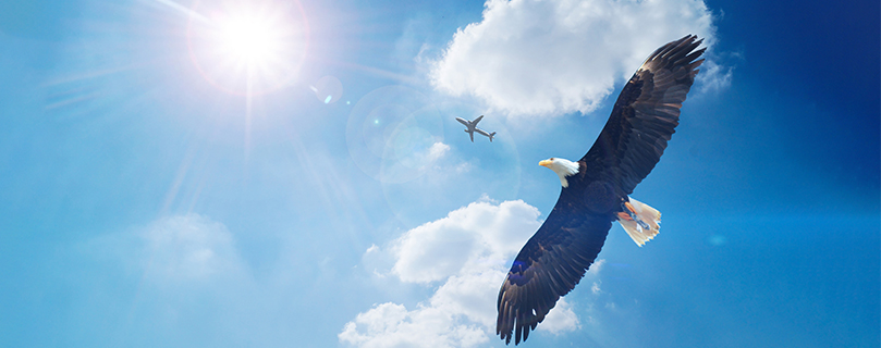 山西泓顺毅电气有限公司